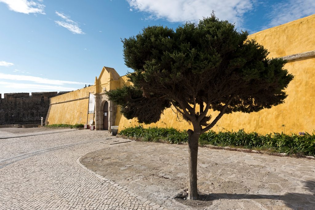 Fortaleza de Peniche | Entrada